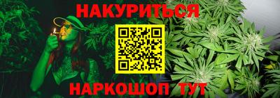 сатива Бузулук