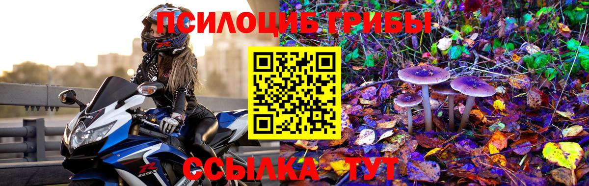 Наро-Фоминск  Псилоцибиновые грибы мицелий  Вход с VPN 